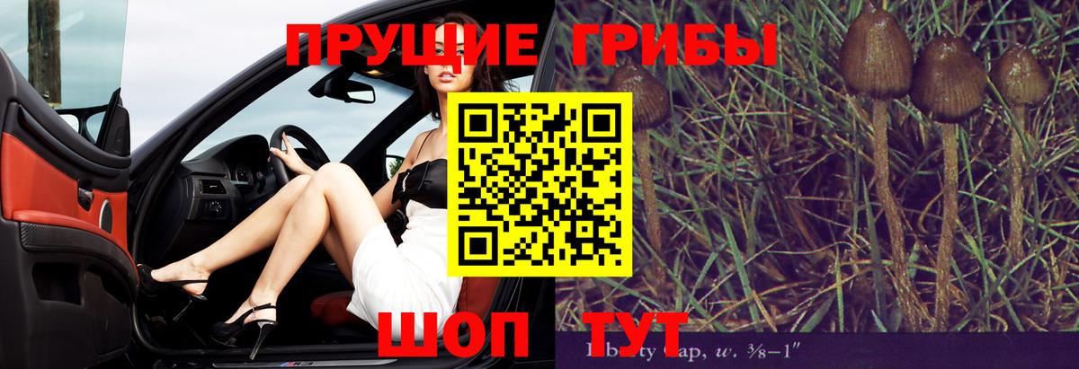 Галлюциногенные грибы GOLDEN TEACHER  Галлюциногенные грибы GOLDEN TEACHER  Энгельс  Вход с VPN 